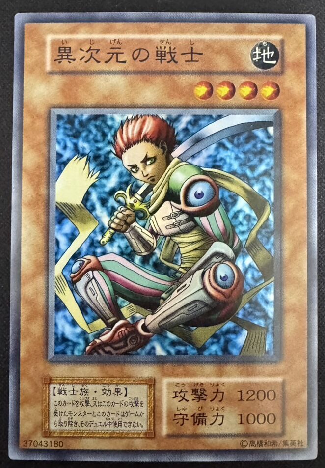異次元の戦士